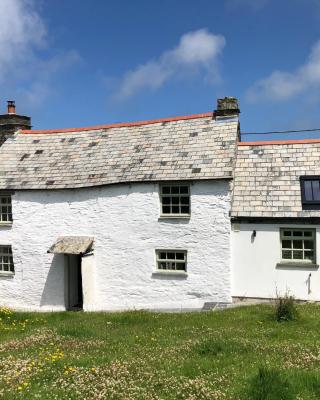 Picture perfect cottage in rural Tintagel