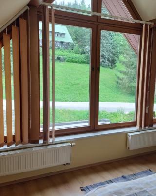 Třílůžkový pokoj Pension Kubů