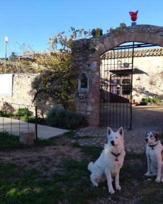 Mas Del Llop Blanc - Dog friendly Hostal Rural - B&B