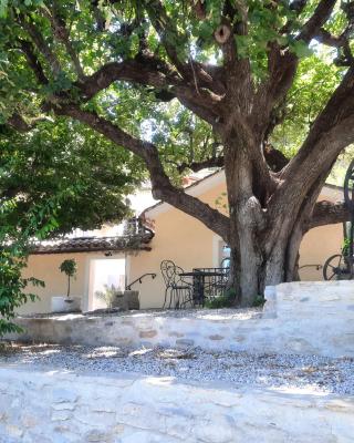 Le gîte Calluna