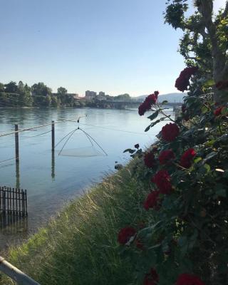 Rhein Promenade