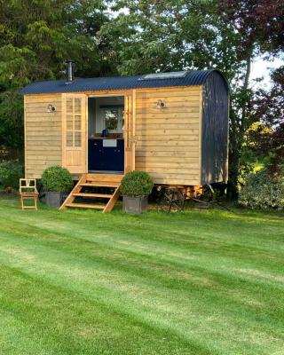 Bannfield shepherds hut