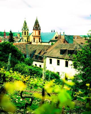 Youth Hostel Würzburg