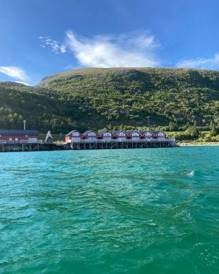 Amazing fisherman cabin in the heart of Lofoten