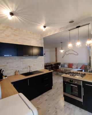 Appartement Hyper Centre Evian - Leman Odyssey