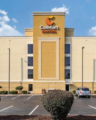 Comfort Suites Anderson-Clemson