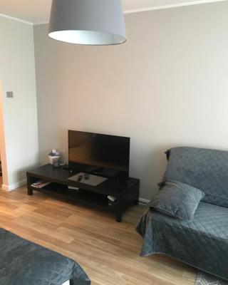 1-Bedroom apartment in city centre