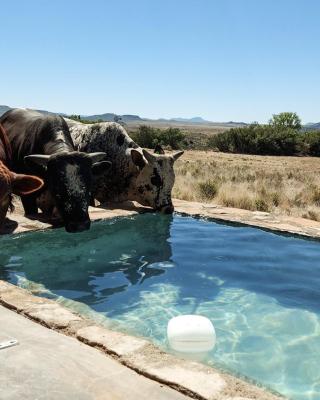 Karoo Ridge Eco-Lodges