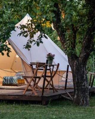 Dragonfly Gardens Urban Glamping Brasov