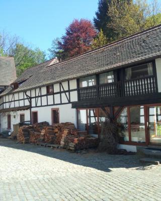 Pulvermühle - 3 Zimmer Maisonette inkl Bad am Stettbach im NATURA 2000 Gebiet mit 12500 qm Garten