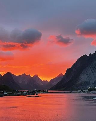 Andøy Vest Rorbuer Reine