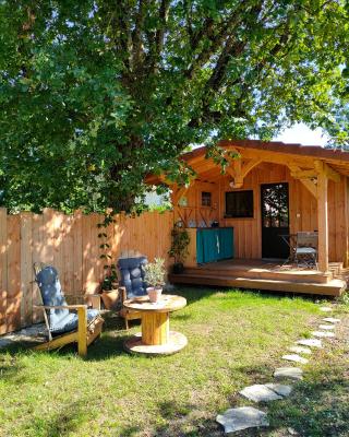 Joli chalet en bois à 7 mn des plages du Bassin d'Arcachon