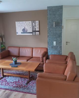 Drei Zimmer Apartment am Rhein