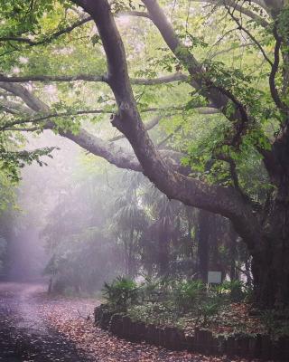 温特顿乡村玫瑰小屋旅舍