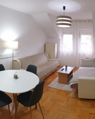 Apartman Ristić 6