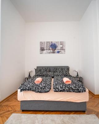 Botanical9, Belgrade centre, 2 bedroom apartment