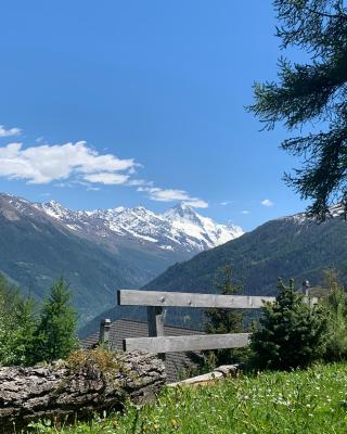 Appartement dans chalet