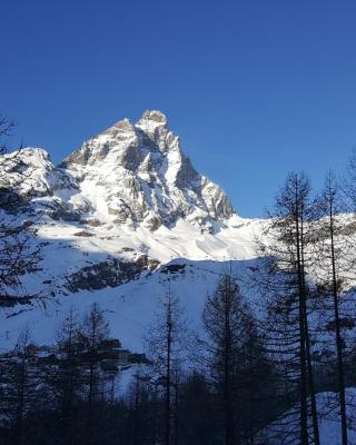 appartamento con vista Cervino- frazione Breuil Cervinia Cieloalto Piano 3 appartamento 306 reception Coin au Paradise