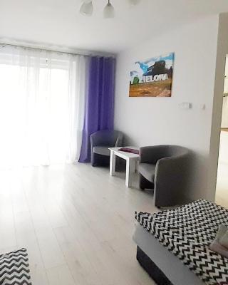 Apartament Złota Łącza