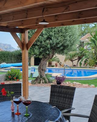 Villa with serene mountain views. Spacious garden with 10x5m pool.