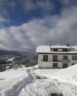 Gîte de famille dans les Vosges