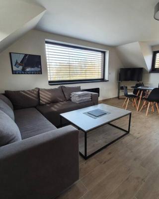Relax Vila Lipno- apartmán v podkroví u pláže Windy Point