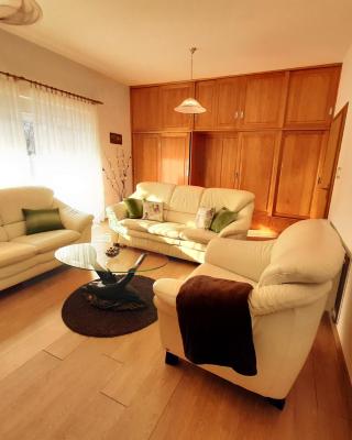 Apartment Gorska vila