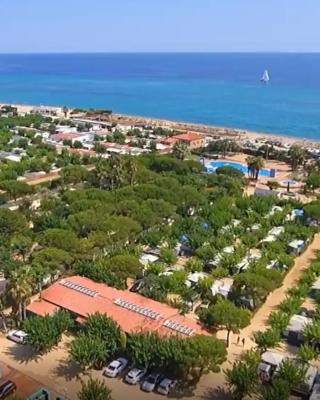 Albatross Mobile Homes on Camping El Pla de Mar