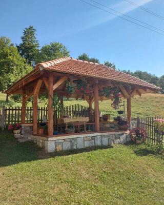 Domaćinstvo Sindžirević