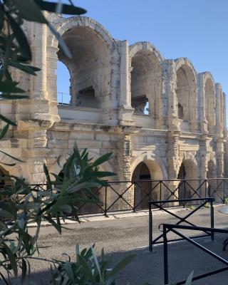 Holiday in Arles: Appartement de l'Amphithéâtre