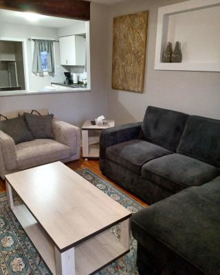 Toronto Furnished Living- Niagara Falls