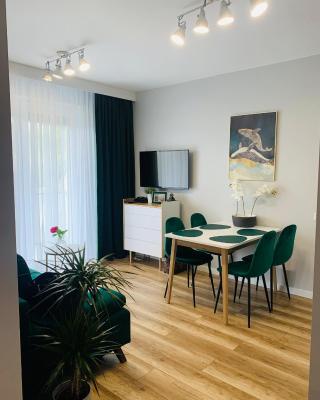 Apartament Stemar z dyżym baloknem