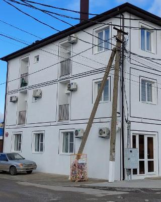 Apartaments Vityzevo