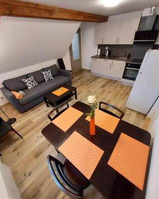 Apartmány Rudník Bolkov