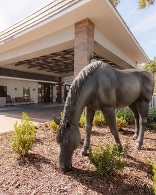 Equus Inn I75