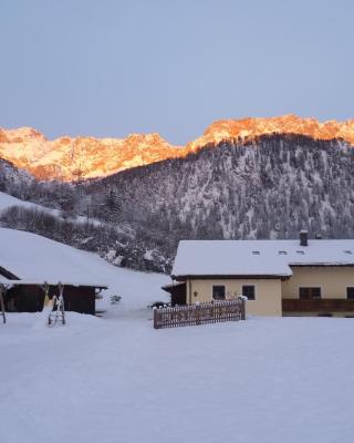 Ferienwohnung Feichtlgütl