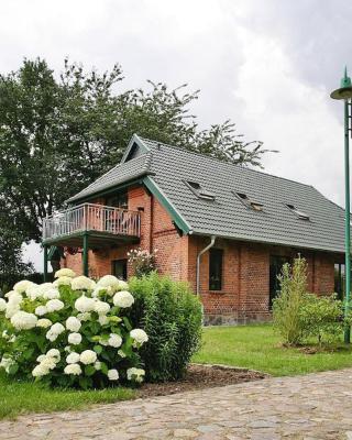 Holiday home Seeadler am Dümmer See in Dümmer