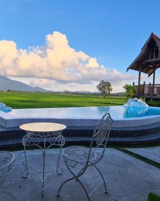 Rumah Bendang Langkawi Villa Pool