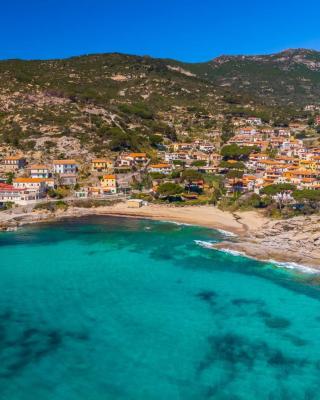 Ortensia e Glicine - Goelba