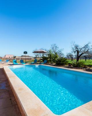 Villa Capo