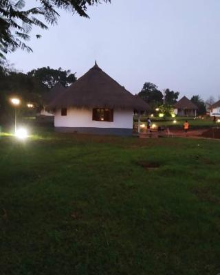 Village Noah