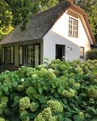 Schilde Cottage