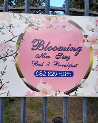 Blooming Nice Stay