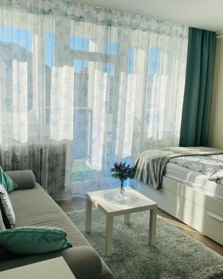 Zrinyi Central Apartman with free parking