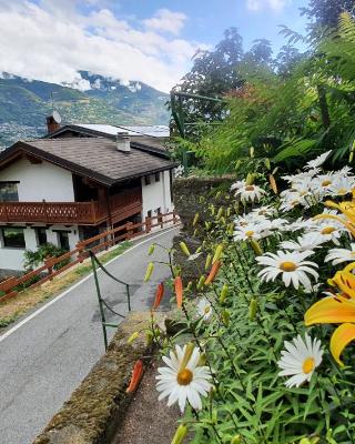 山羊与马住宿加早餐旅馆