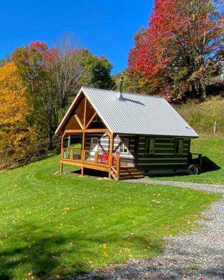 Cozy Cabin Near Grayson Highlands State Park