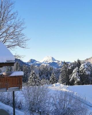 Confortable chalet avec magnifique vue en Gruyère.