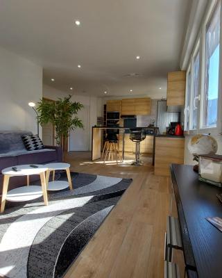 Superbe appartement au centre de St Jorioz