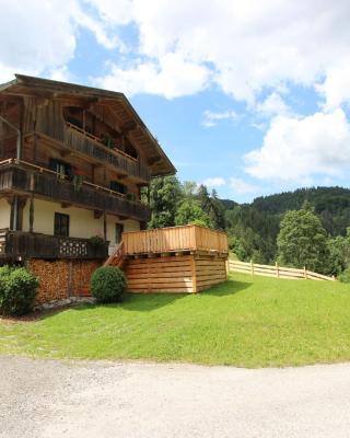 Farm in Hopfgarten near ski area