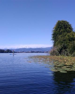 CASA DEL LAGO